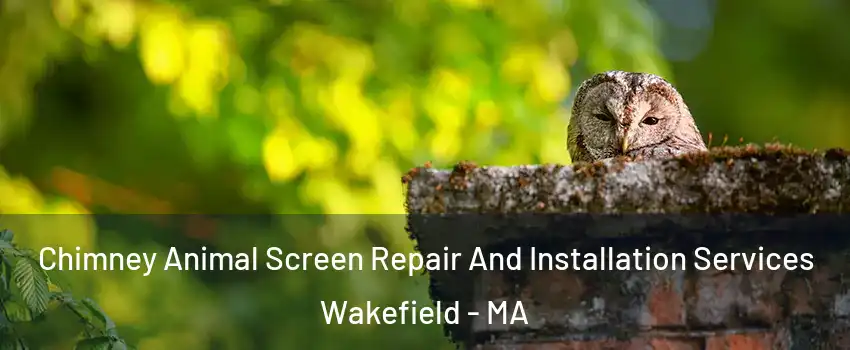  Chimney Animal Screen Repair And Installation Services Wakefield - MA