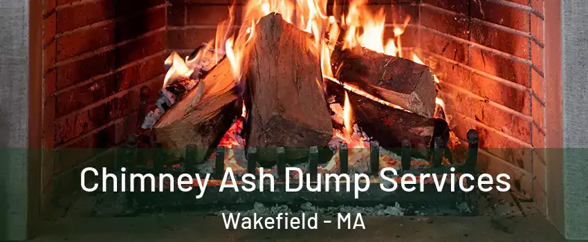  Chimney Ash Dump Services Wakefield - MA