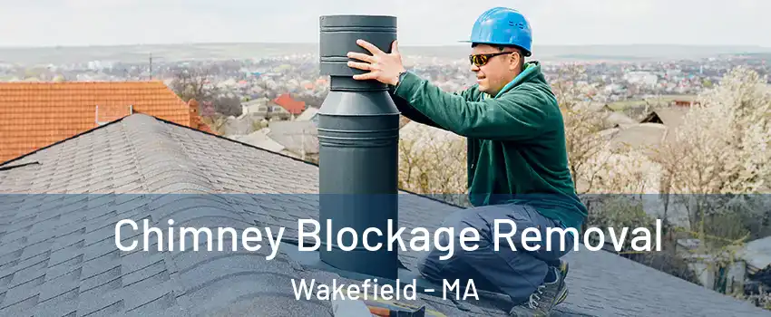  Chimney Blockage Removal Wakefield - MA