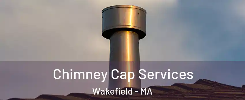  Chimney Cap Services Wakefield - MA