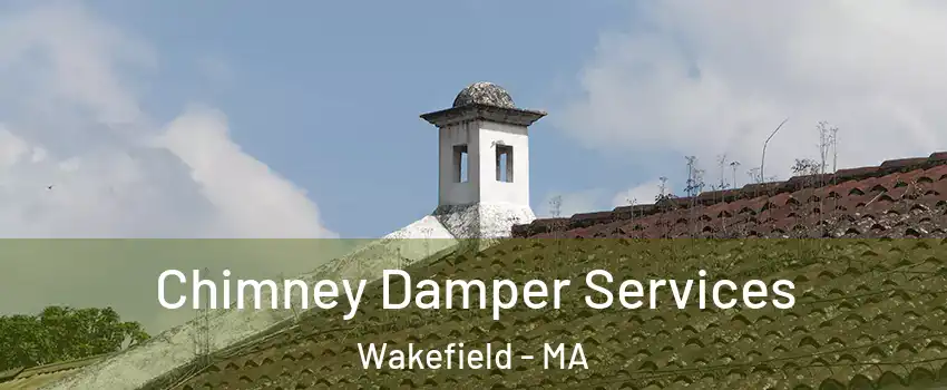  Chimney Damper Services Wakefield - MA