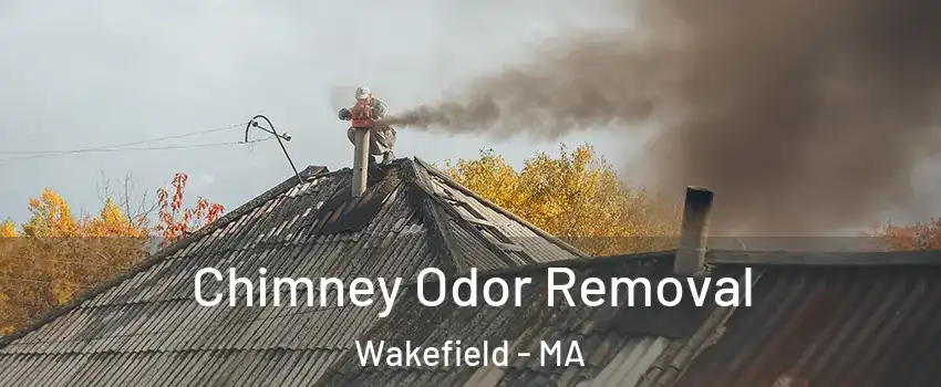  Chimney Odor Removal Wakefield - MA