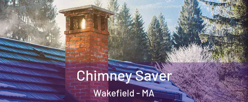  Chimney Saver Wakefield - MA