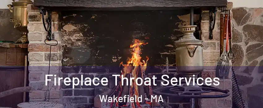  Fireplace Throat Services Wakefield - MA