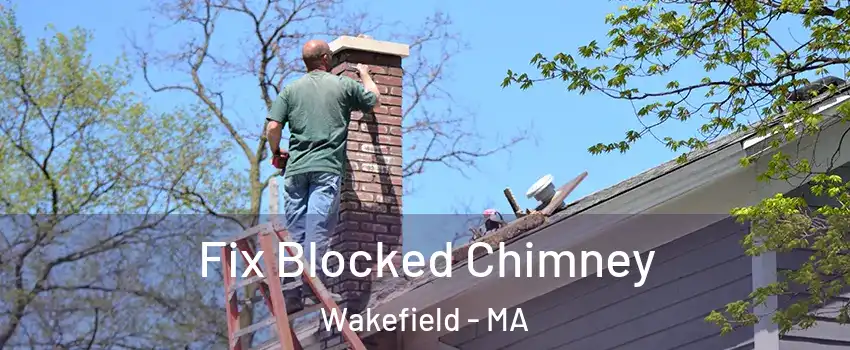  Fix Blocked Chimney Wakefield - MA