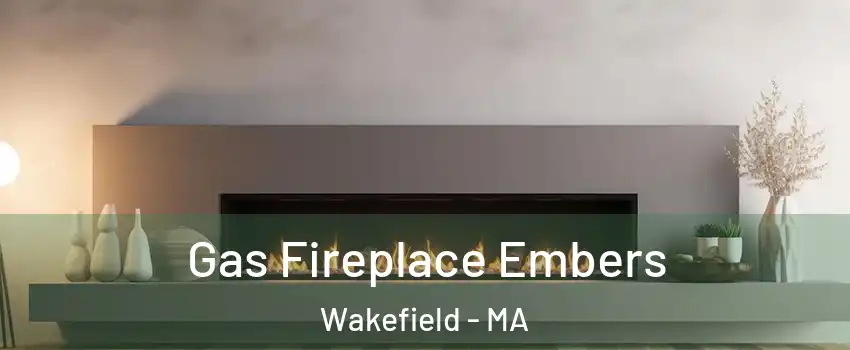  Gas Fireplace Embers Wakefield - MA