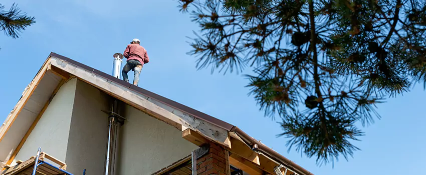 Birds Removal Contractors from Chimney in Wakefield, MA
