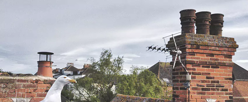 Chimney Cleaning And Restoration in Wakefield, Massachusetts