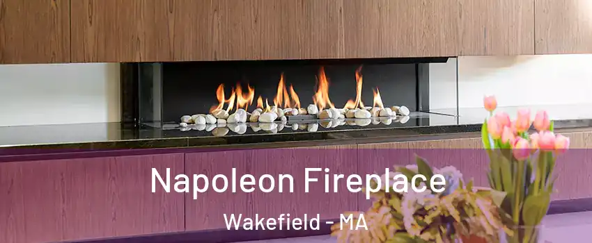  Napoleon Fireplace Wakefield - MA